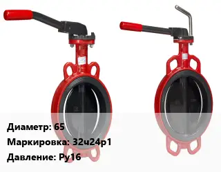 Затвор 65 32ч24р1 Ру16